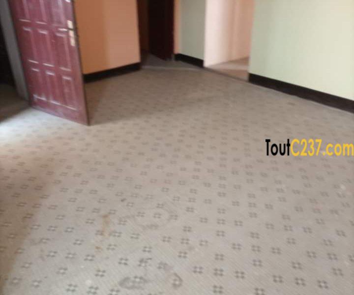 Appartement à louer à Bonamoussadi, Douala