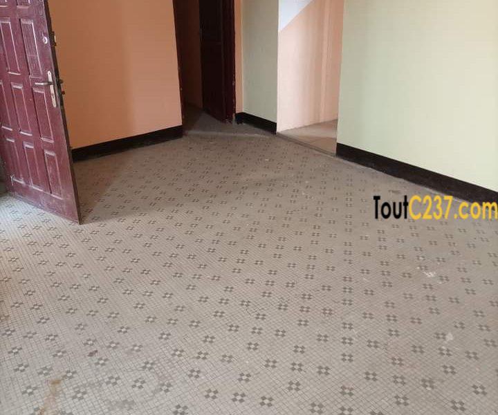 Appartement à louer à Bonamoussadi, Douala