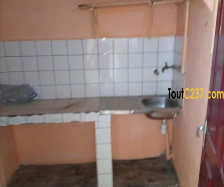 Appartement à louer à Bonamoussadi, Douala