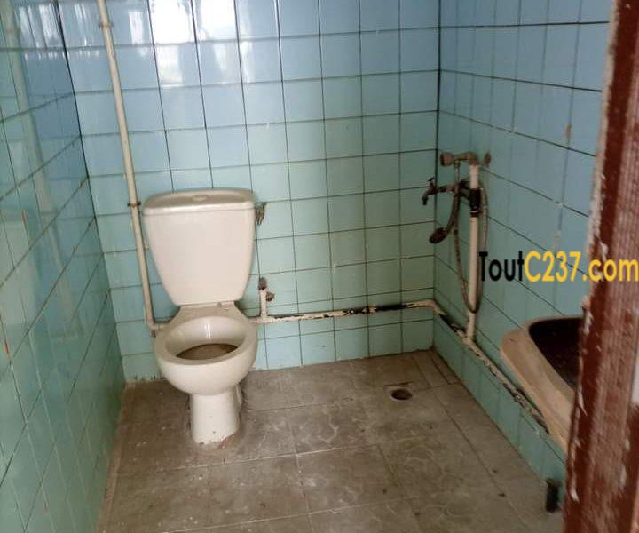 Appartement à louer à Bonamoussadi, Douala