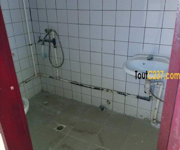 Appartement à louer à Bonamoussadi, Douala