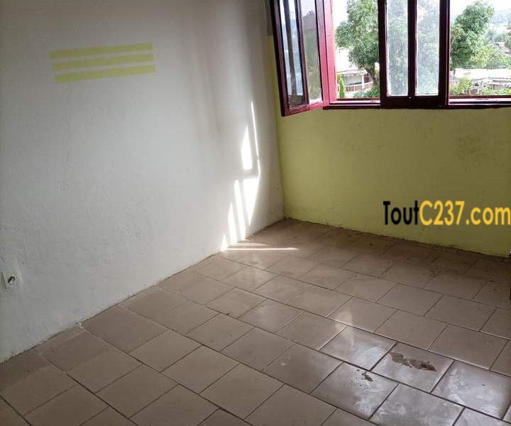 Appartement à louer à Bonamoussadi, Douala