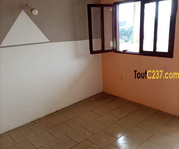 Appartement à louer à Bonamoussadi, Douala