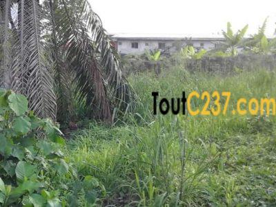 Terrain à vendre à Logbessou, Douala