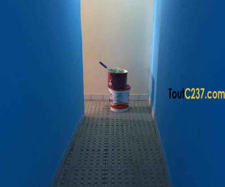 Appartement à louer à Bonamoussadi, Douala