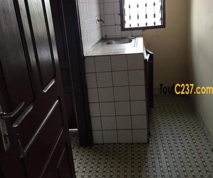 Appartement à louer à Bonamoussadi, Douala