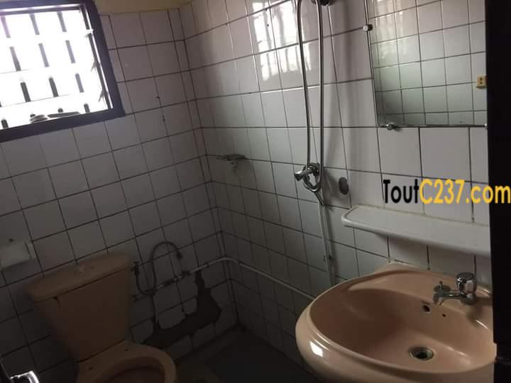 Appartement à louer à Bonamoussadi, Douala