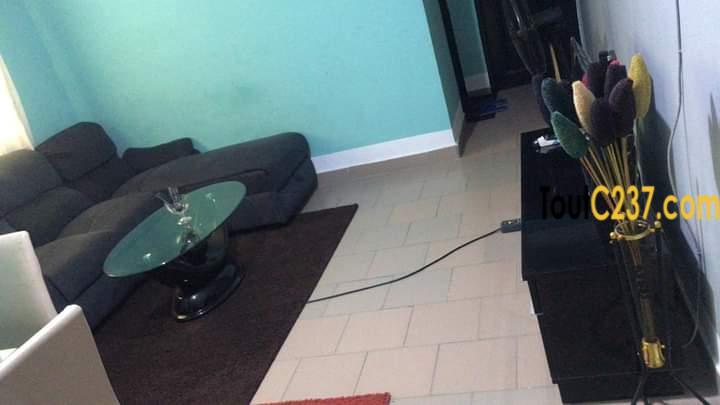 Studio Moderne Meublé à louer à Bonamoussadi, Douala