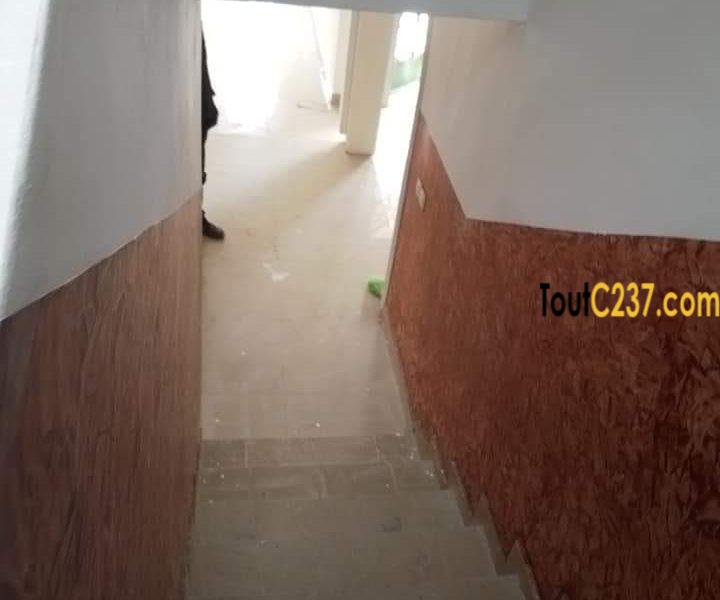 Duplex moderne à louer à Kotto, Douala