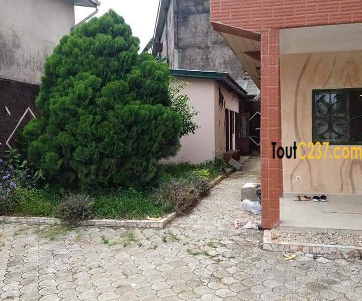 Duplex moderne à louer à Kotto, Douala