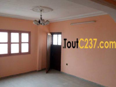 Appartement à louer à Ngodi Akwa, Douala