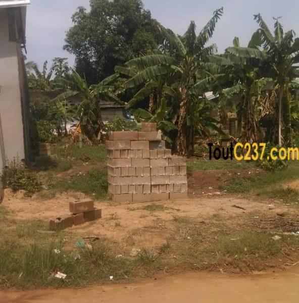 Terrain à vendre à Logbessou, IUC, Douala