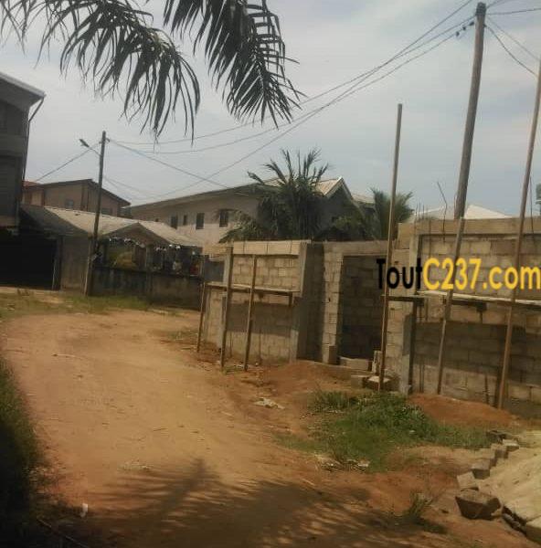 Terrain à vendre à Logbessou, IUC, Douala