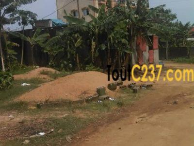 Terrain à vendre à Logbessou, IUC, Douala