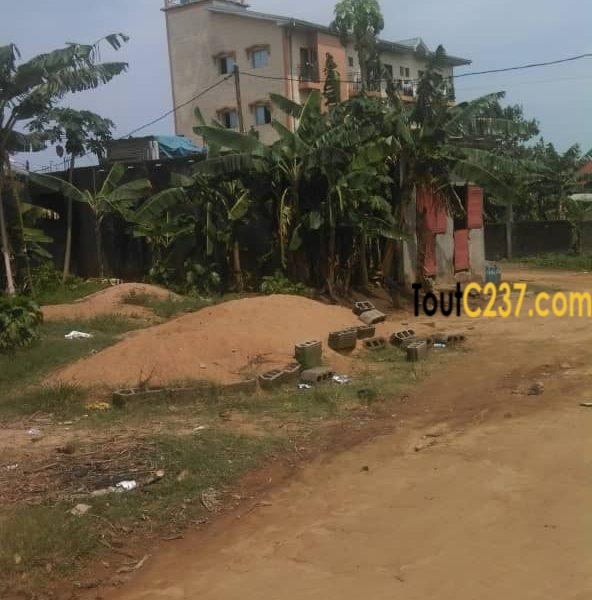 Terrain à vendre à Logbessou, IUC, Douala