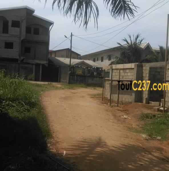 Terrain à vendre à Logbessou, IUC, Douala