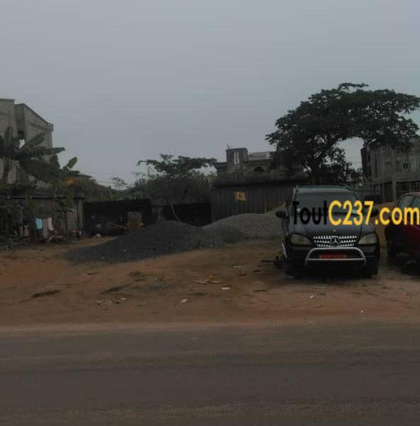 Terrain à vendre à Maetur Yassa, Douala