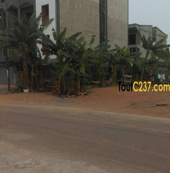 Terrain à vendre à Maetur Yassa, Douala