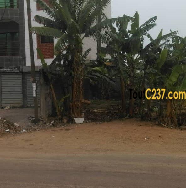 Terrain à vendre à Maetur Yassa, Douala