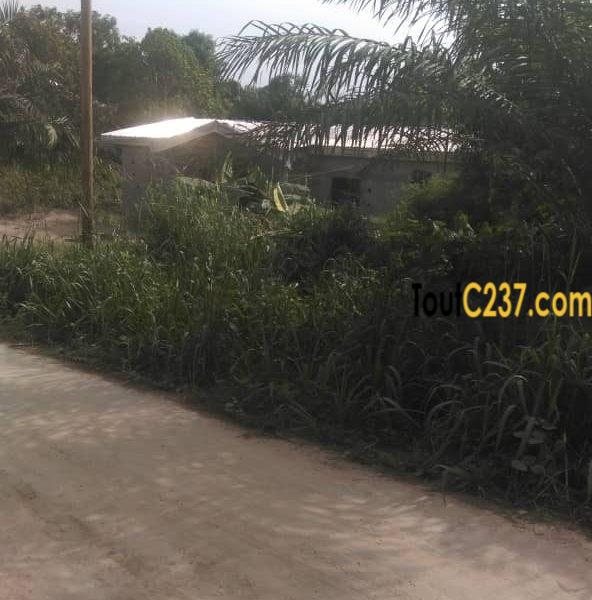 Terrain à vendre à Papass Pk14, Douala