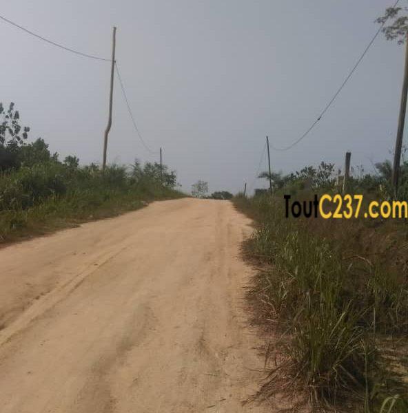 Terrain à vendre à Papass Pk14, Douala