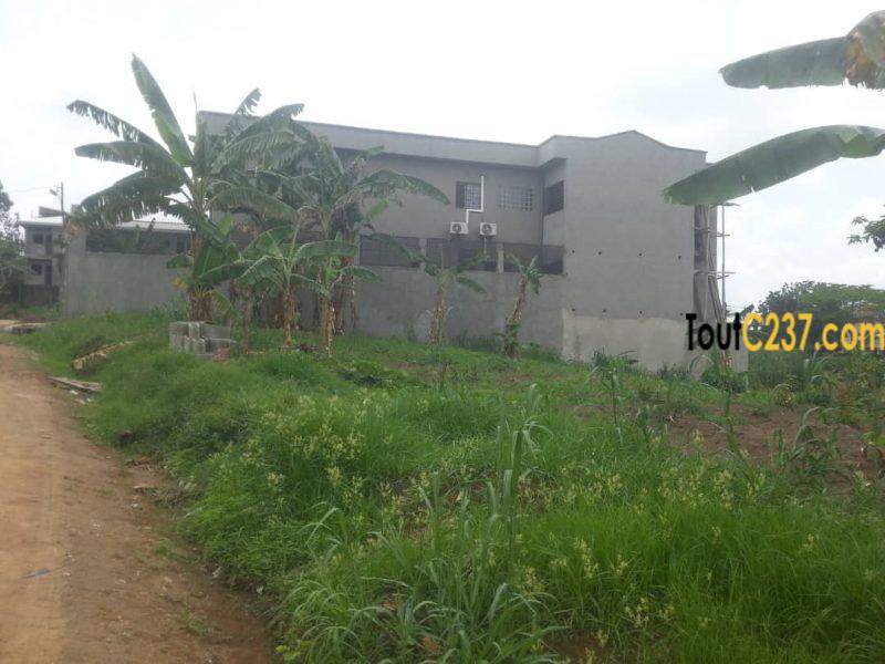 Terrain à vendre à Logbessou, Douala
