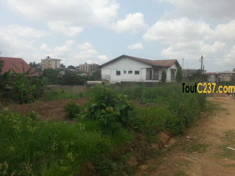 Terrain à vendre à Logbessou, Douala