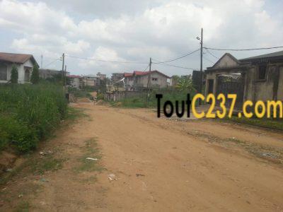 Terrain à vendre à Logbessou, Douala