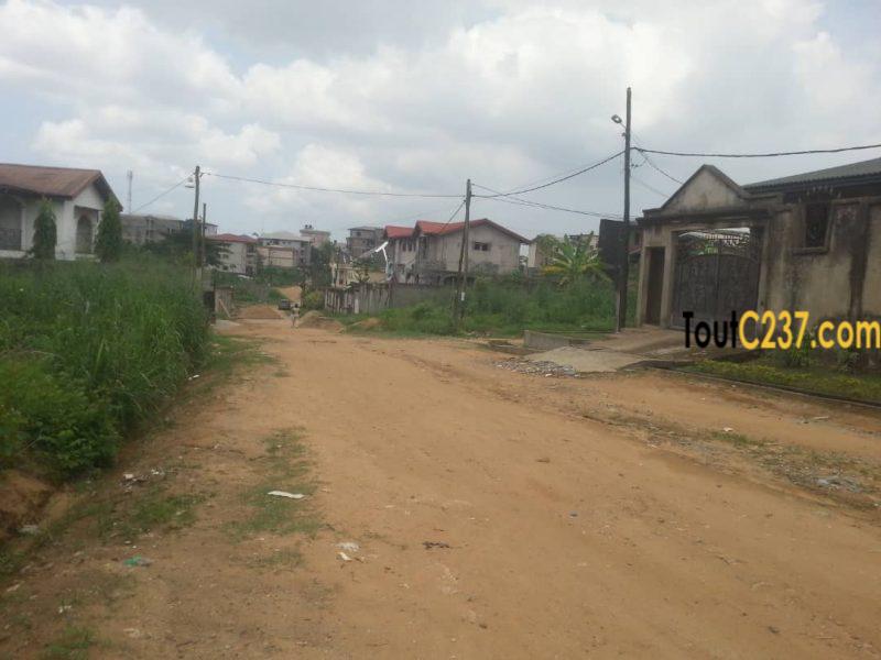 Terrain à vendre à Logbessou, Douala