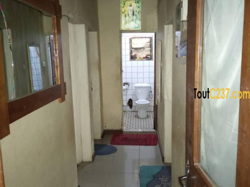 Maison à vendre à Kotto, Douala
