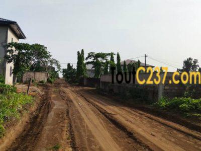 Terrain à vendre à Lendi, Douala