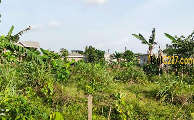 Terrain à vendre à Lendi, Douala
