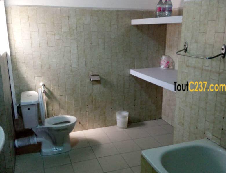Appartement meublé à loué à bonapriso, Douala