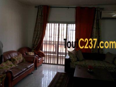 Appartement meublé à loué à bonapriso, Douala
