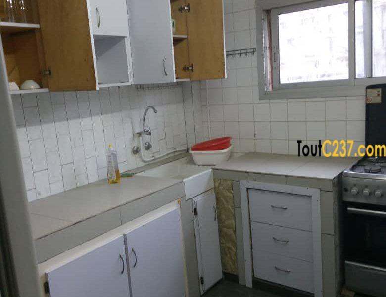 Appartement meublé à loué à bonapriso, Douala