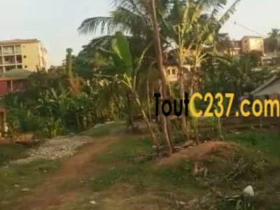 Terrain à vendre à Kotto Pilote, Douala