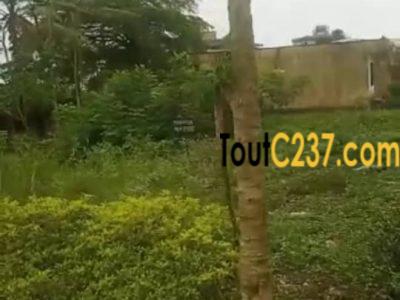 Urgence speciale: Terrain commercial à vendre à Makepe, Douala