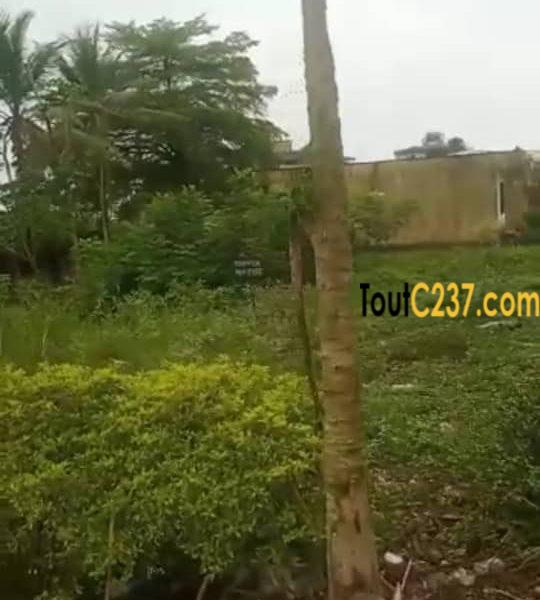 Urgence speciale: Terrain commercial à vendre à Makepe, Douala