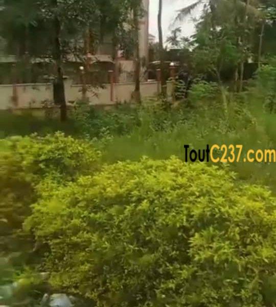 Urgence speciale: Terrain commercial à vendre à Makepe, Douala