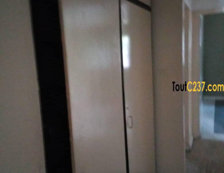 Urgence: Villa plein pied à louer à Akwa, Douala