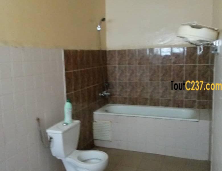 Urgence: Villa plein pied à louer à Akwa, Douala