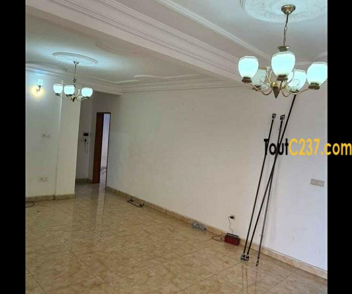 Appartement vaut standing à louer à Logpom, Douala