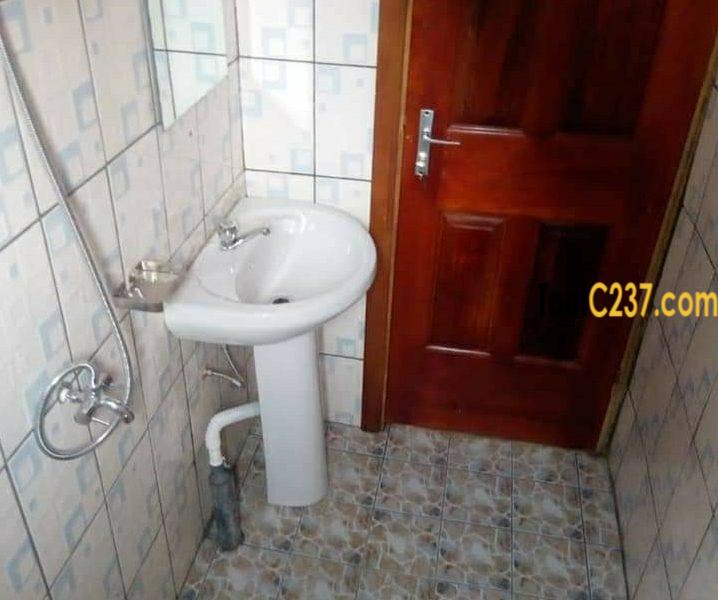Appartement à louer à bonapriso, Douala