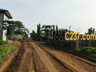 Terrain d'angle à vendre à Lendi, Douala