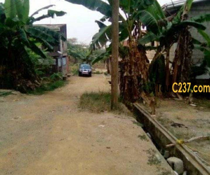 Opportunité: Terrain à vendre à Pk14, Douala