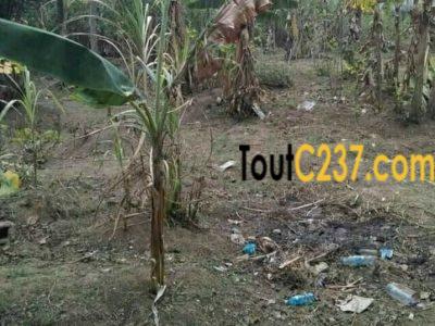 Terrain à vendre à Pk11, Douala