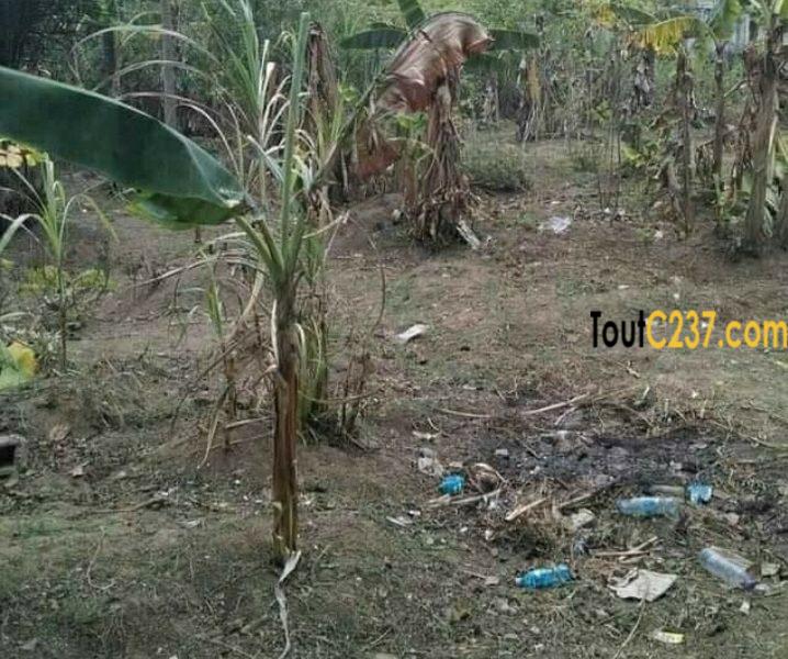 Terrain à vendre à Pk11, Douala