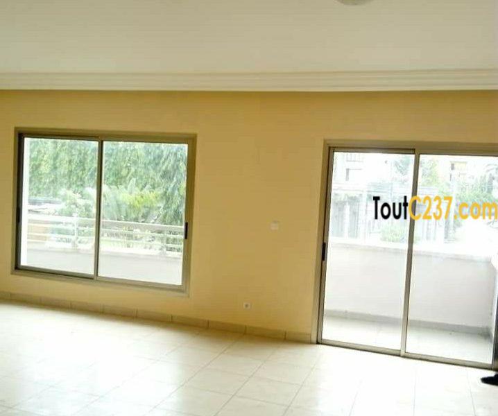 Appartement VIP à louer à Bonamoussadi, Douala