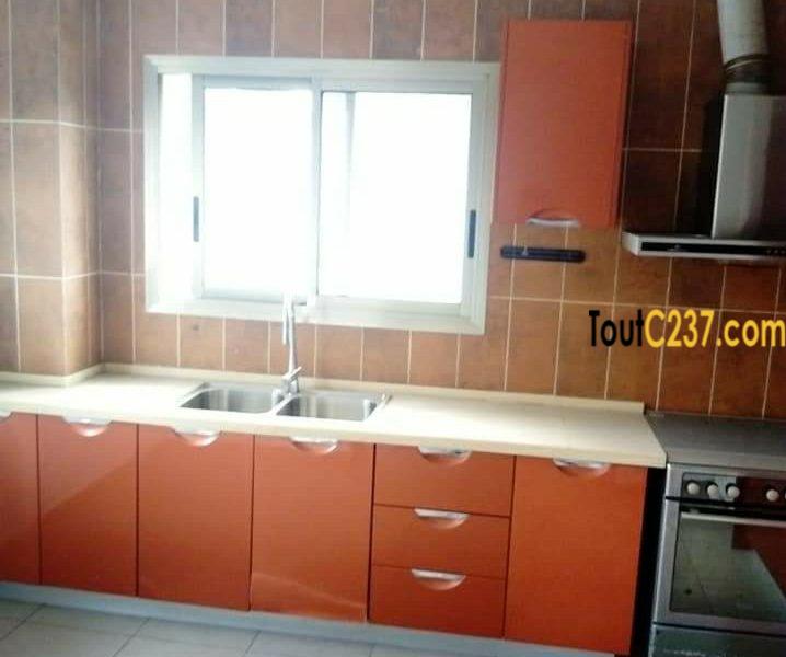 Appartement VIP à louer à Bonamoussadi, Douala