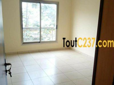 Appartement VIP à louer à Bonamoussadi, Douala